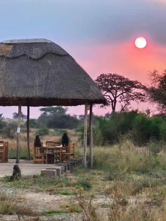 Evening light at a safari camp