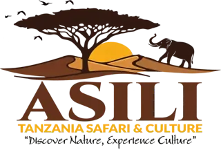 Asili Tanzania Safari & Culture — Discover Nature, Experience Culture